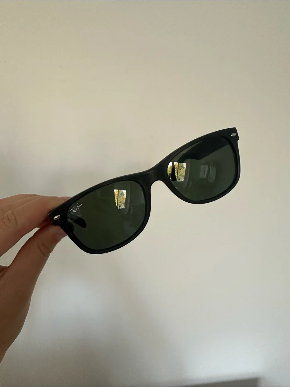 Ray-Ban Black Wayfarer Sunglasses